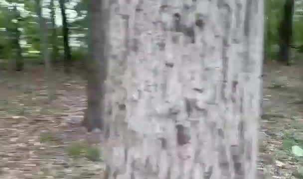 Soogsx onlyfans leak – Sucking BF cock outdoor / Cumshot on face